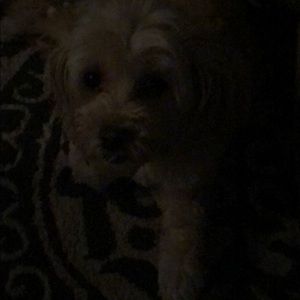 Meet your Posher, Gina